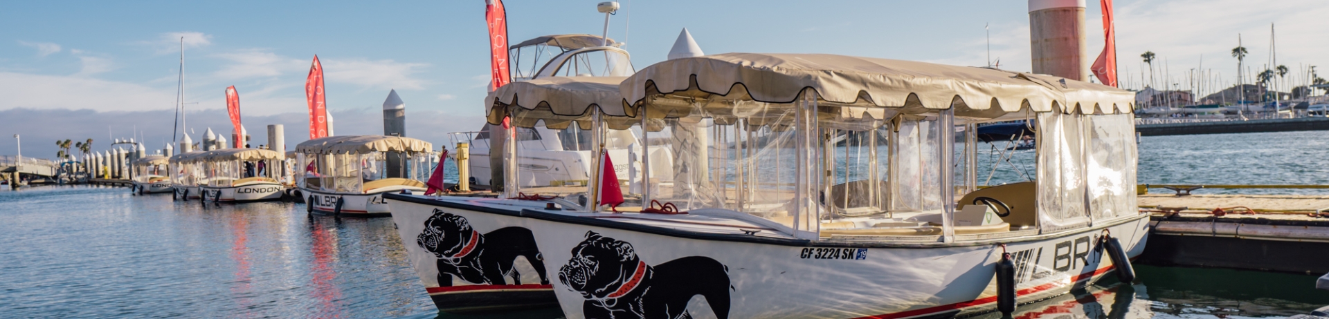 A line of boats docked at a pier.